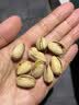 徽天赐开心果新货原味无添加特大颗粒原装坚果无漂白整箱5斤 原味开心果【大颗粒】250g*1袋 实拍图