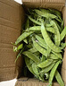 京鲜生 云南新鲜甜豆 带壳食用 清香甜脆 加冰保鲜发货净重5斤源头直发 实拍图