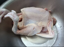 温氏 供港黑脚土公鸡3.2斤 135天散养大公鸡 冷冻走地鸡  黑金凰鸡 实拍图