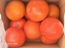 京鲜生 南非红心西柚/葡萄柚净重5斤装 单果220g起 新鲜水果 实拍图