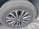 固特异（Goodyear）汽车轮胎 195/65R15 91V EF1 SPORT鹰驰F1酷跑 适配卡罗拉/朗逸 实拍图