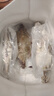 【冷冻】拾鲜生 梭子蟹活冻舟山特大螃蟹海鲜3斤梭子蟹5-7两/只 当季新蟹 源头直发包邮 实拍图