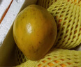 【顺丰空运 48小时内发】新鲜鸡蛋果 海南蛋黄果 狮头果热带水果 精选大果 单果200-350g 1000g 实拍图