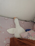 熊猫熊大白鹅玩偶抱枕陪睡觉长条毛绒玩具娃娃新年女生情人节礼物女朋友 实拍图