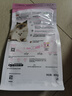 皇家猫粮幼猫奶糕  BK34 通用粮 1-4月 400g 实拍图