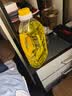 拂明液体酥油供佛灯油家用无烟台湾菩提酥油灯油长明灯专用环保油 2升/2.6斤【极力推荐】黄色 环保无烟酥油 实拍图