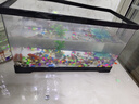 Barbarous Growth鱼缸水族箱客厅阳台家用中小型自循环懒人免换水生态塑料金鱼缸 大号黑色【造景氛围套餐】 实拍图