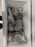 星星（XINGX）300L单温家用小型冰柜 大容量减霜保鲜净味节能一级能效冰箱冷藏冷冻两用冷柜BD/BC-300QJ 实拍图