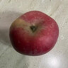 京鲜生山东烟台红富士苹果 5斤装单果75-80mm生鲜水果 源头直发 包邮 实拍图