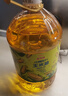金龙鱼 食用油 非转基因 物理压榨玉米油6.18L（蕴含植物甾醇） 实拍图