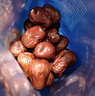楼兰蜜语六星一级和田大红枣500g*2免洗即食骏枣滋补新疆特产年货送礼零食 实拍图
