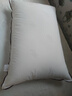 水星家纺枕头枕芯酒店枕头护颈枕头芯家用单个纯棉抗菌可水洗中枕48x74cm 实拍图