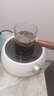 苏泊尔（SUPOR）迷你电陶炉煮茶器煮茶炉煮茶壶养生围炉煮茶茶艺炉泡茶家用办公老白茶黑茶花茶不挑器具SW-DTL01 实拍图