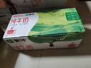 蒙牛全脂纯牛奶200ml*24盒 家庭年货囤货 电商定制 实拍图