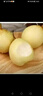 京喜加河北鸭梨赵县特产脆甜多汁远达新24 鸭梨带箱9斤大果 实拍图