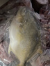 翔泰海南二去金鲳鱼700g/2条 去鳃去内脏 年货节生鲜鱼类  海鲜水产  实拍图