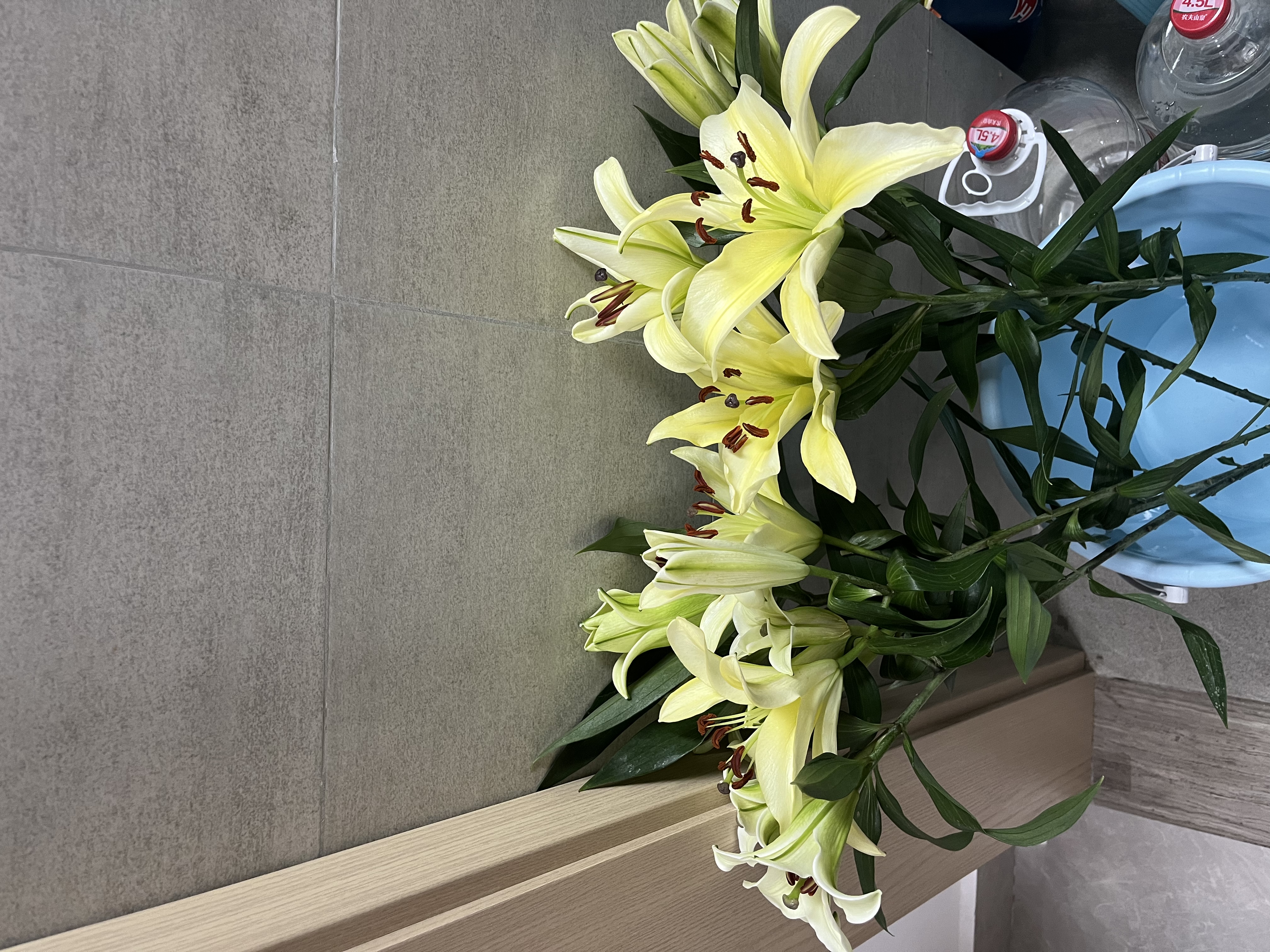 轻奢玻璃花瓶高级感摆件客厅插花透明水养鲜花专用百合玫瑰餐桌 【17高透明】水滴花瓶 实拍图
