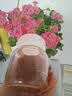 家の物语（KATEI STORY）中药分装瓶食品级可加热玻璃装中药容器密封罐便携中药杯子 实拍图