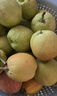 京鲜生 新疆特级库尔勒香梨 净重5斤单果120g以上 生鲜水果 实拍图