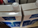 欧德堡（Oldenburger）3.4g蛋白全脂纯牛奶1L*12盒 家庭/学生/老人用奶 早餐奶 性价款 实拍图