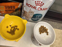 皇家猫粮 成猫猫粮 去毛球 IH34 通用粮 12月以上 2KG 实拍图