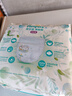 帮宝适超薄透气清新帮拉拉裤新生儿婴儿尿不湿尿片透氧Pro XL34 实拍图
