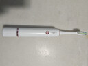 博皓（prooral）声波电动牙刷护龈压感提醒 自动牙刷成人充电式 情侣款 生日礼物T33 白色 实拍图