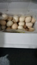 散养新鲜鸡蛋柴鸡蛋谷物鸡蛋单枚50±5g 40枚 实拍图