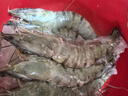 弹指鲜生越南原装进口超大黑虎虾巨型大虾老虎虾对虾夜宵烧烤食材 虾王约23cm 1.8斤(净重)  10-12只 实拍图