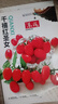 红圣女果种子小番茄小西红柿田园阳台盆栽四季种蔬菜番茄种子 红圣女果种子【2包约400粒】 原厂封装 实拍图