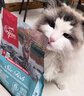 Orijen渴望猫粮 成猫幼猫粮 六种鱼肉无谷全价通用进口1.8kg效期26/11 实拍图
