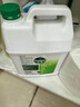 滴露（Dettol）消毒液5L大桶装消毒水家用商用工业车间酒店物业衣物环境消毒杀菌 实拍图