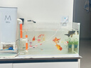 森森 超白玻璃小鱼缸HWK-600P裸缸款水草缸金鱼缸小型水族箱水草缸  实拍图