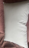 水星家纺枕头枕芯酒店枕头护颈枕头芯家用一对纯棉抗菌可水洗中枕48x74cm 实拍图