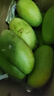 庾丰 海南芒果 新鲜水果生鲜整箱当季大青皮金煌芒 热带孕妇玉芒果 10斤装(净果8.5-9斤)单果200g+ 实拍图