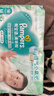 帮宝适超薄透气清新帮纸尿裤新生儿婴儿尿不湿尿片透氧Pro M54 实拍图