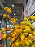 京东京造 高端A级蓝芯纸掼蛋专用扑克牌 比赛专用耐磨耐用大字纸牌 50副装 实拍图