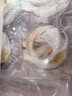 獐子岛 冷冻蒜蓉粉丝扇贝400g 12只 虾夷扇贝 烧烤食材 海鲜 生鲜 实拍图