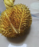 京鲜生 泰国金枕头榴莲 净重7-8斤 1个装 生鲜 新鲜水果 源头直发包邮 实拍图