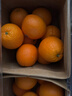 新奇士（Sunkist）美国蓝标早脐橙橙子9斤马年礼盒装 单果180g起 年货礼盒 实拍图