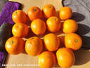 京鲜生 麻阳冰糖橙 净重8斤 单果60mm+  生鲜水果 源头直发包邮 实拍图