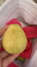 京觅福建红心芭乐 番石榴 应季 低糖孕妇水果 单果150g 净重3斤装 实拍图