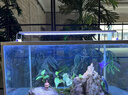 YEE鱼缸灯led灯水草灯防水水族箱节能防溅水支架灯水草灯专用观赏灯 四排【8瓦】灯长28cm（28-37cm鱼缸） 实拍图