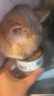 普贝斯（PUREBREDS）AD犬猫处方罐头产后绝育术后体弱专用膳食营养速补慕斯流质罐130g 实拍图