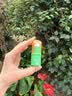 帕达诺婴儿紫草膏蚊子蚊虫解痒膏宝宝专用红屁股跳蚤咬舒缓膏 【舒缓加倍 功效升级】舒缓止痒棒6g*1支 实拍图
