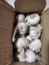 【东东农场专供】2025年新鲜七成干大蒜头 【东东农场专供】七成干大蒜头2斤含箱 实拍图