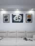 集简季客厅装饰画沙发背景墙挂画现代简约麋鹿三联挂画高档壁画  实拍图