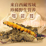 同仁堂品牌西藏野生冬虫夏草约5根/g13g约65根虫草礼盒高档礼品送人送礼 实拍图