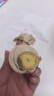 麻酱鸡蛋起沙流油咸淡适中鲜鸡蛋真空即食早餐生鲜鲜鸡蛋制作 30枚【精选装】 实拍图