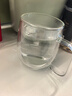 GLASSLOCK水杯双层玻璃杯家用茶杯耐冷热带把手防烫办公室隔热咖啡杯290ml 实拍图